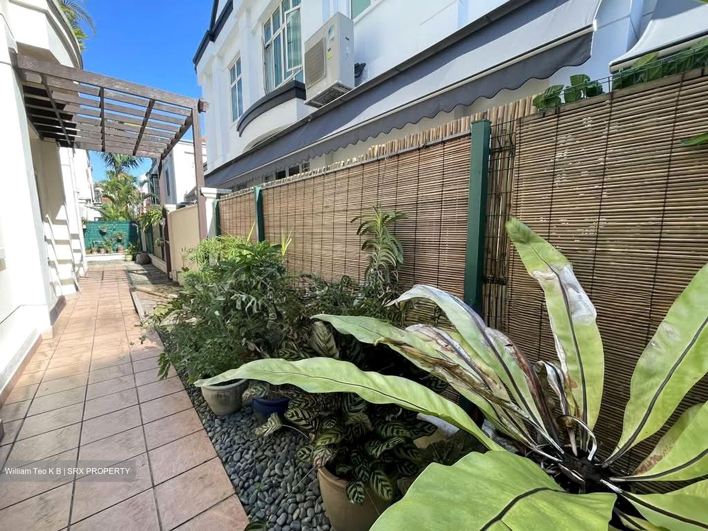 Kingsville (D10), Semi-Detached #559244591